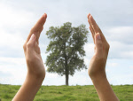 insurance retirement investments